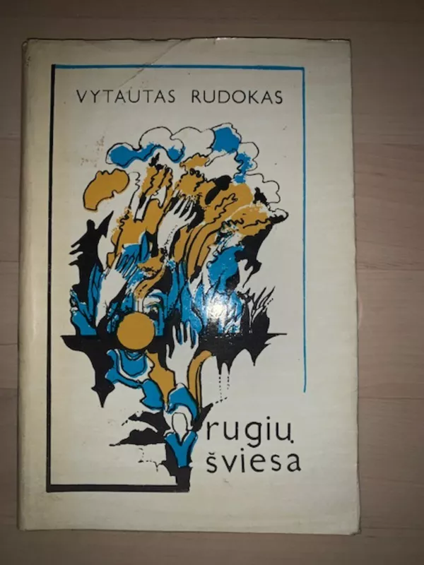 Rugių šviesa - Vytautas Rudokas, knyga