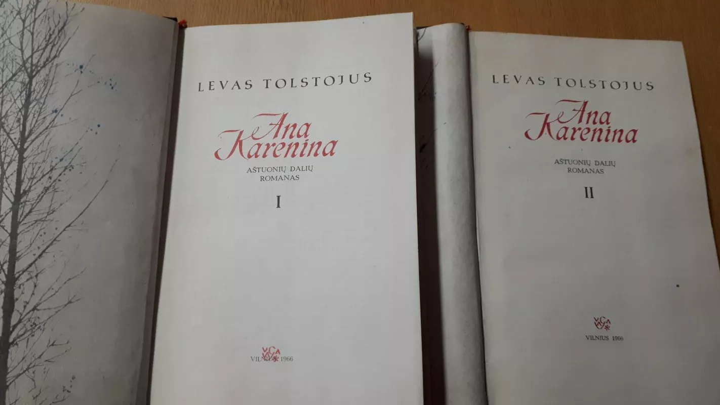 Ana Karenina (II tomai) - Levas Tolstojus, knyga