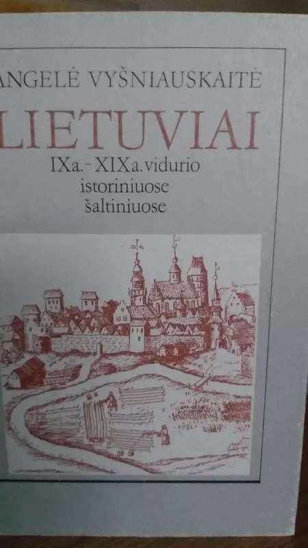 Lietuviai  IX a.-XIX a.vidurio istoriniuose šaltiniuose - Angelė Vyšniauskaitė, knyga