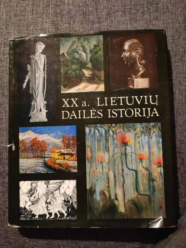 XX a, Lietuvių dailės istorija 1900-1940 - Autorių Kolektyvas, knyga
