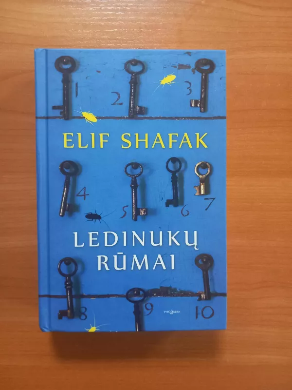 Ledinukų rūmai - Elif Shafak, knyga