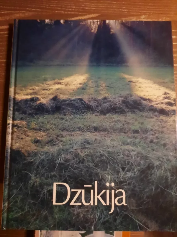 Dzūkija - Vytautas Stanionis, knyga