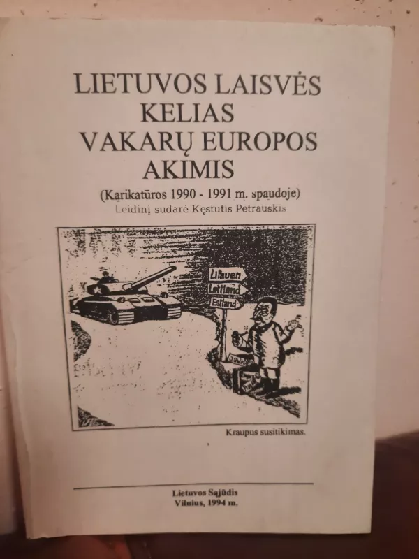 Lietuvos laisvės kelias Vakarų Europos akimis - Kęstutis Petrauskis, knyga