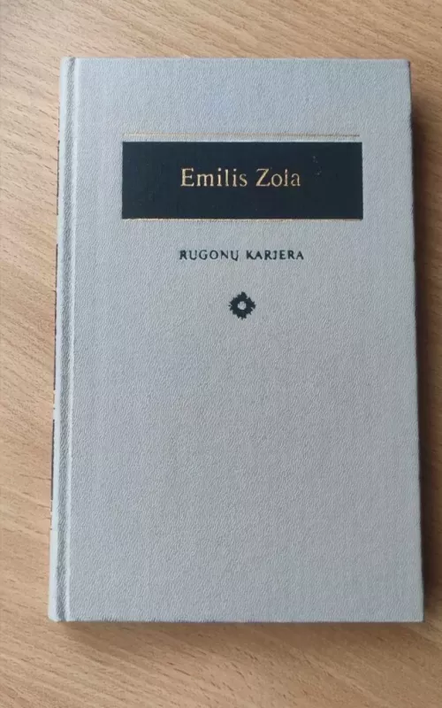 Rugonų karjera - Emilis Zola, knyga