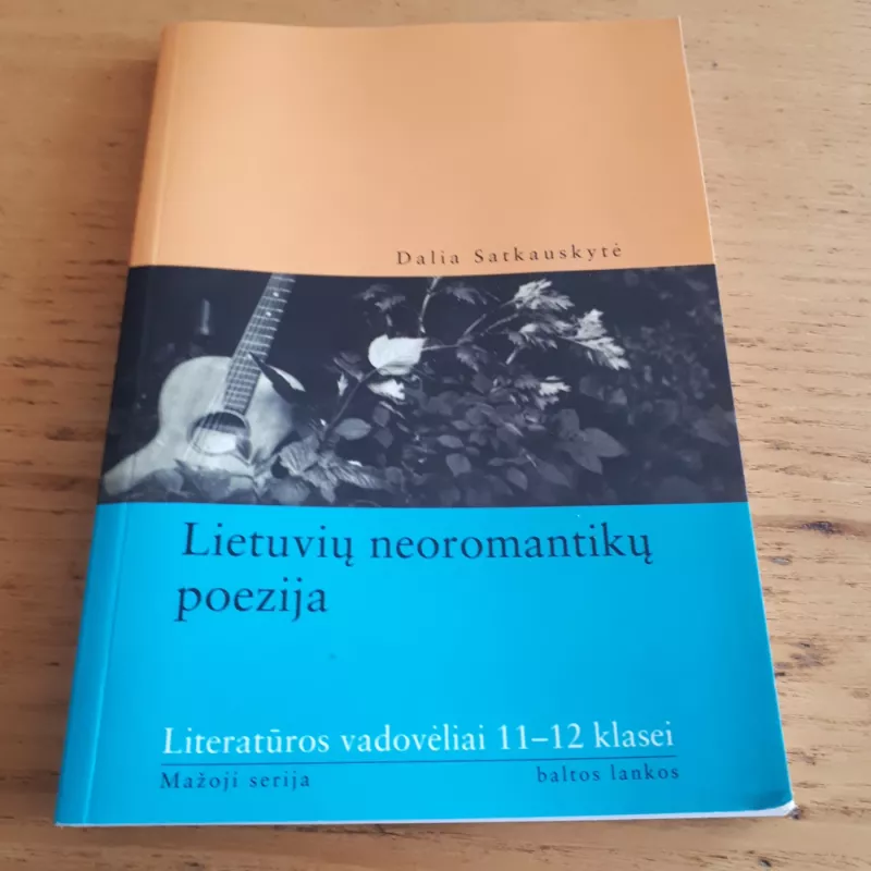 Lietuvių neoromantikų poezija - Dalia Satkauskaitė, knyga
