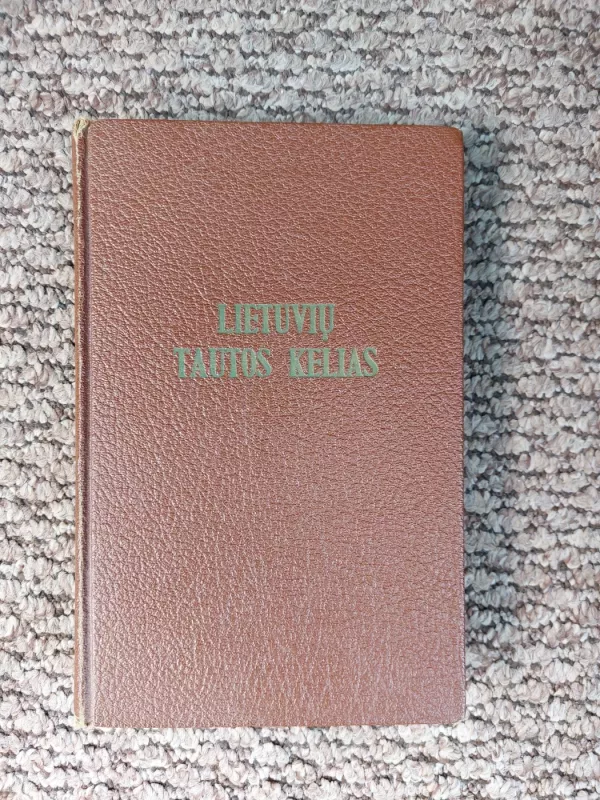 Lietuvių tautos kelias į naująjį gyvenimą - Mykolas Biržiška, knyga