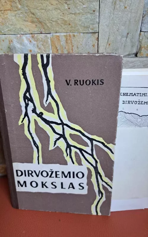 Dirvožemio mokslas - V. Ruokis, knyga