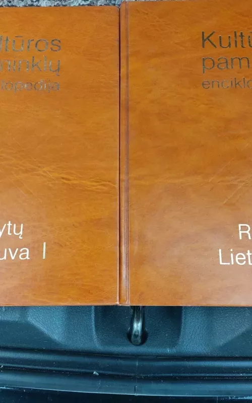 Kultūros paminklų enciklopedija. Rytų Lietuva II - Autorių Kolektyvas, knyga