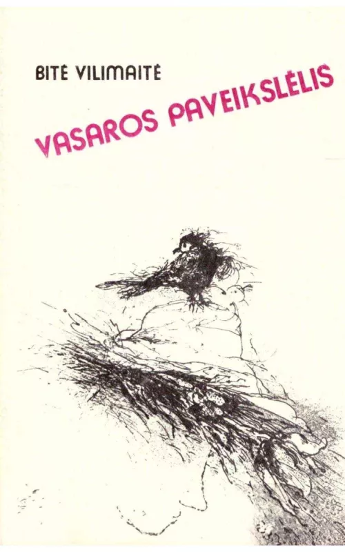 Vasaros paveikslėlis - Bitė Vilimaitė, knyga