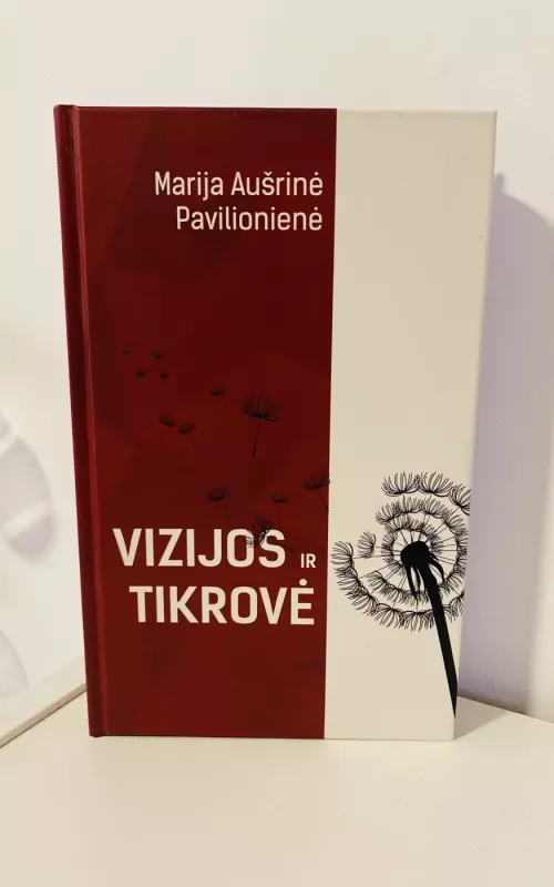 Vizijos ir tikrovė - Marija Aušrinė Pavilionienė, knyga