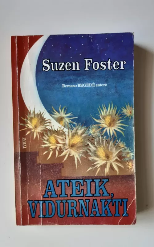 Ateik, vidurnakti - Suzen Foster, knyga