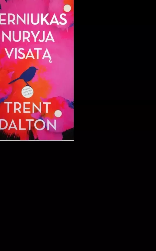 Berniukas nuryja visatą - Trent Dalton, knyga