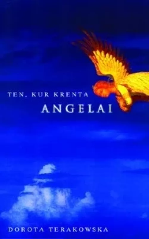 Ten, kur krenta angelai - Dorota Terakowska, knyga
