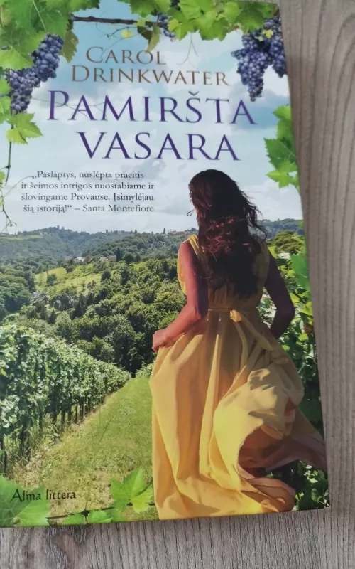 Pamiršta vasara - Carol Drinkwater, knyga