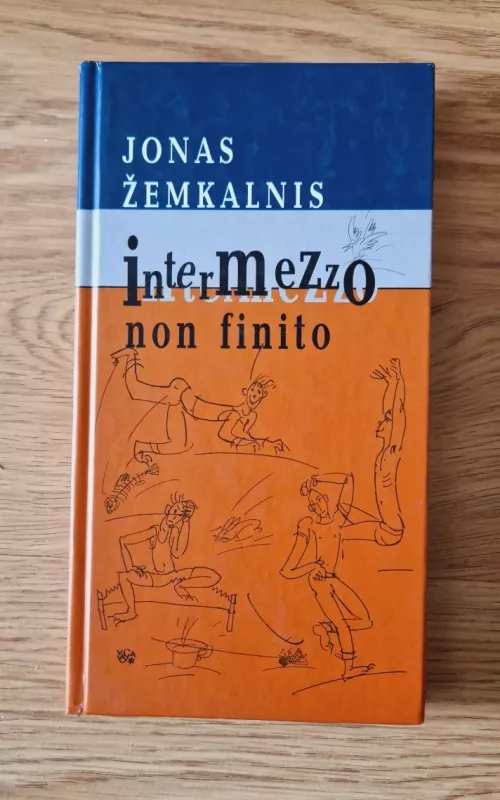 Intermezzo non finito - Jonas Žemkalnis, knyga