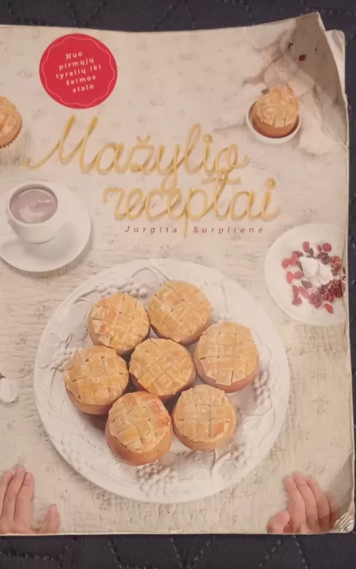 Mažylio receptai - Jurgita Surplienė, knyga