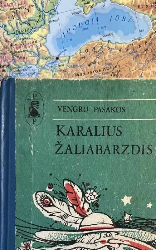 Karalius žaliabarzdis - V. Agurkis, knyga