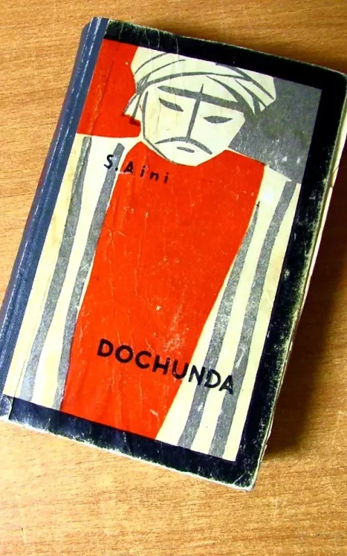 Dochunda - S. Aini, knyga