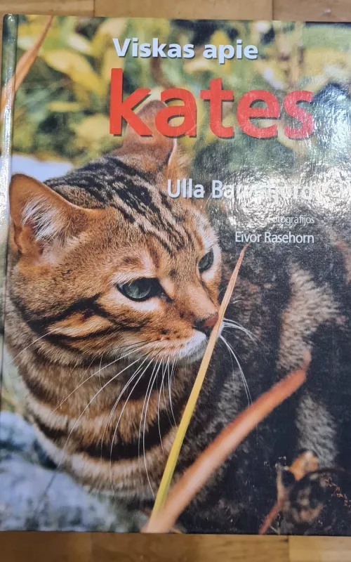 Viskas apie kates - Ulla Barvefjord, knyga