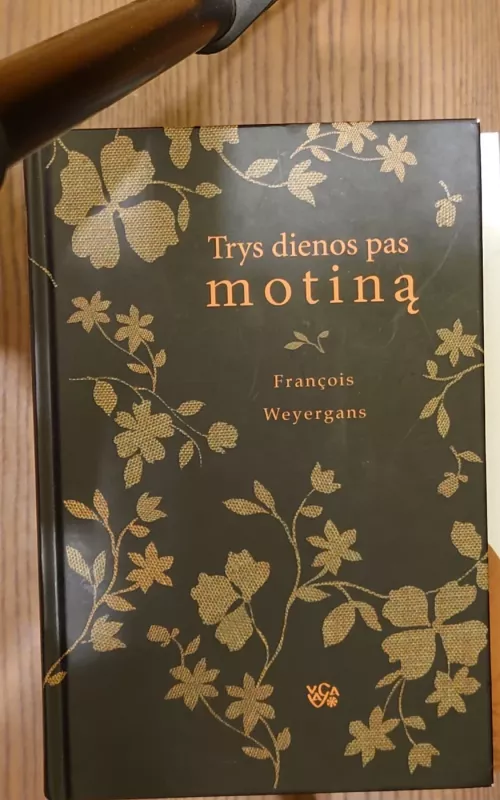 Trys dienos pas motiną - Francois Weyergans, knyga