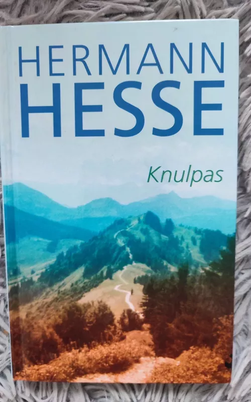 Knulpas - Hermann Hesse, knyga