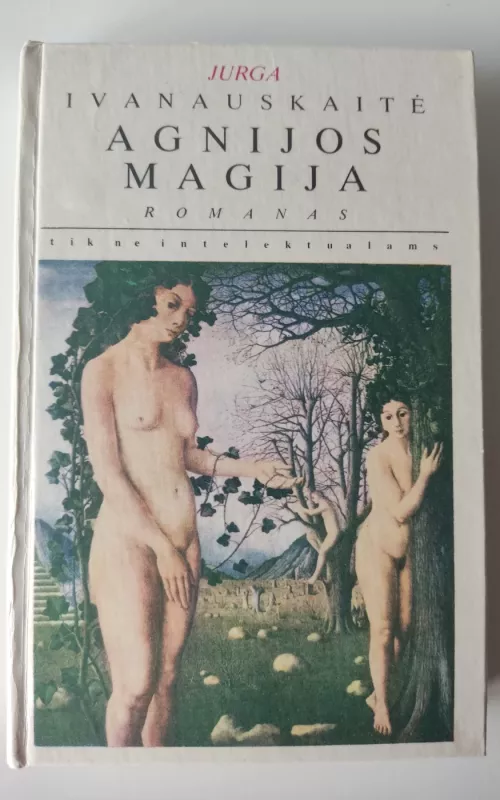 Agnijos magija - Jurga Ivanauskaitė, knyga