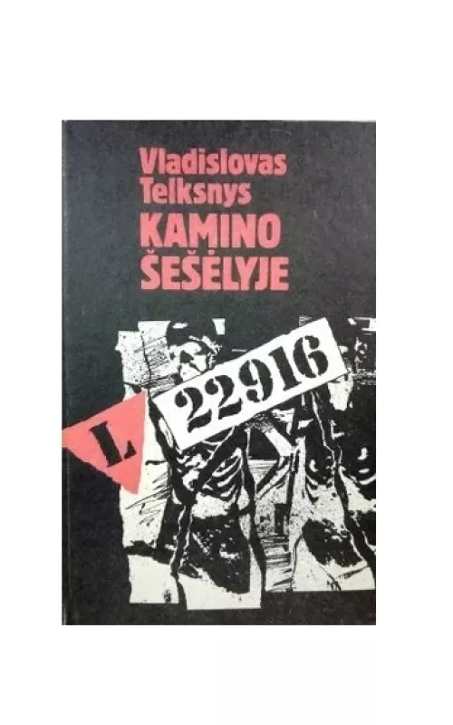 Kamino šešėlyje - Vladislovas Telksnys, knyga