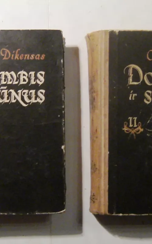 Dombis ir sūnus (II tomai) - Charles Dickens, knyga