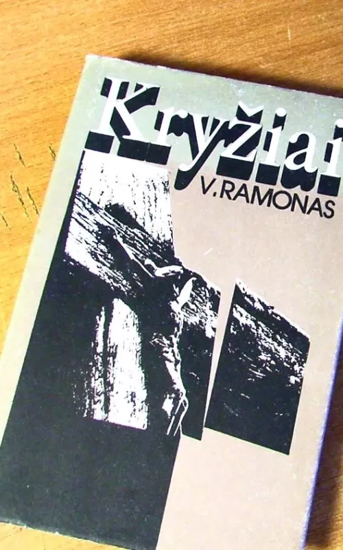 Kryžiai - Vincas Ramonas, knyga