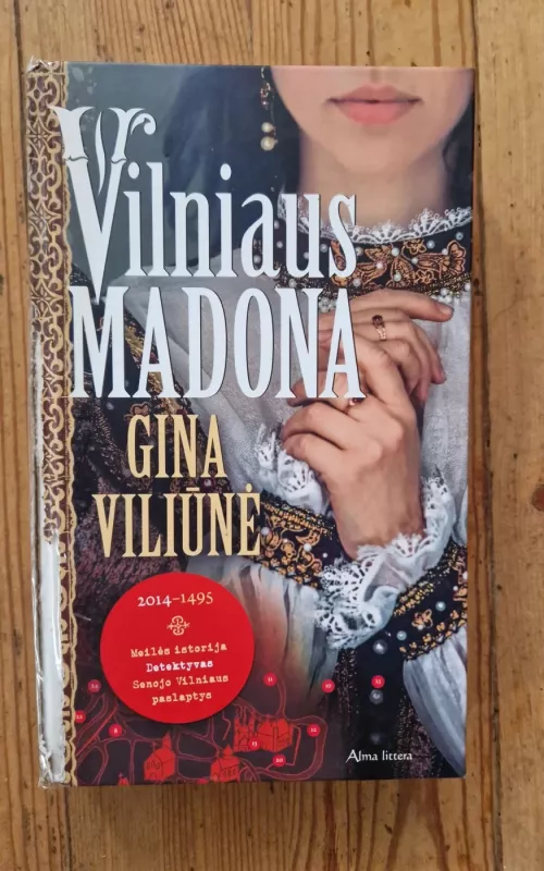 Vilniaus Madona - Gina Viliūnė, knyga
