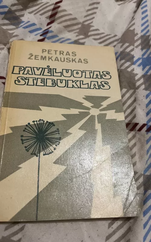 Pavėluotas stebuklas - Petras Žemkauskas, knyga