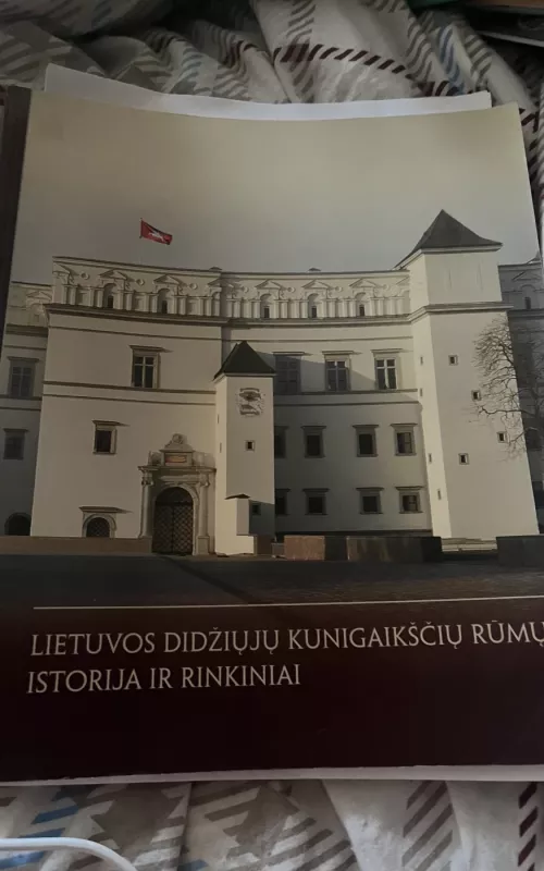 Lietuvos didžiųjų kunigaiksčių rumų istorija ir rinkiniai - Autorių Kolektyvas, knyga