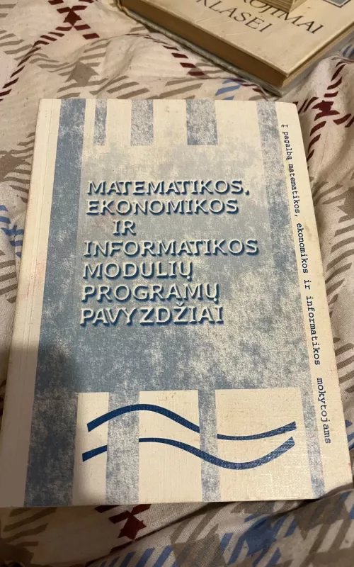 Matematikos, ekonomikos ir informatikos modulių programų pavyzdžiai - Autorių Kolektyvas, knyga