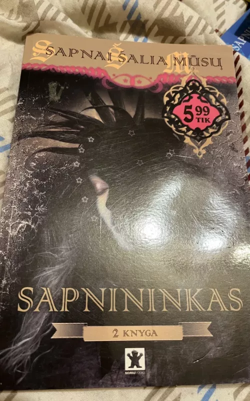 Sapnai šalia mūsų: Sapnininkas (2 knyga) - Ieva Bukienė, knyga