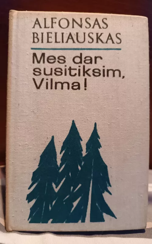 Mes dar susitiksim, Vilma - Alfonsas Bieliauskas, knyga