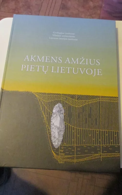 Akmens amžius Pietų Lietuvoje - Autorių Kolektyvas, knyga