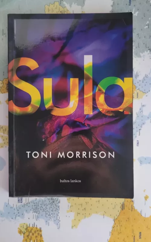 Sula - Toni Morrison, knyga