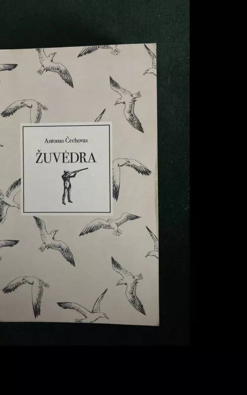 Žuvėdra - Antonas Čechovas, knyga