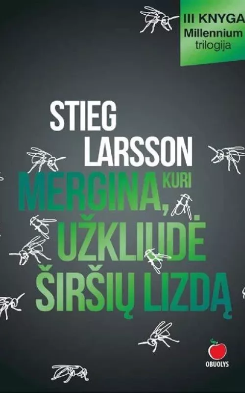 Mergina, kuri užkliudė širšių lizdą - Stieg Larsson, knyga