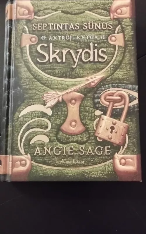 Septintas sūnus. Antroji knyga. Skrydis - Angie Sage, knyga