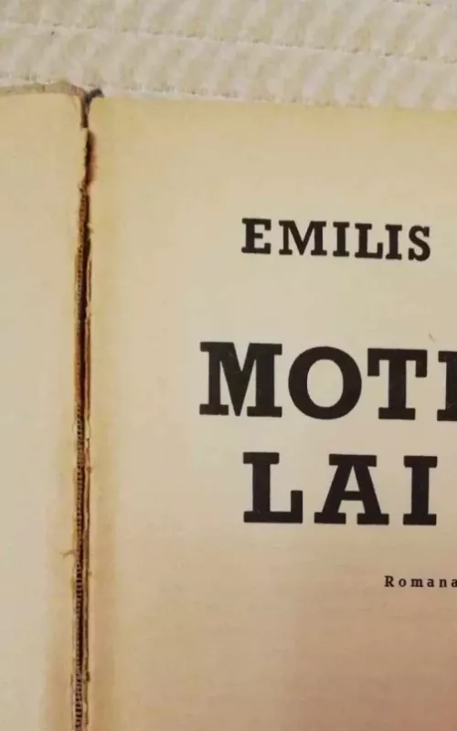 Moterų laimė - Emilis Zola, knyga