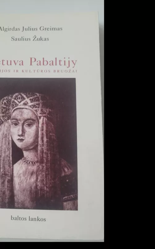 Lietuva Pabaltijy: istorijos ir kultūros bruožai - Autorių Kolektyvas, knyga