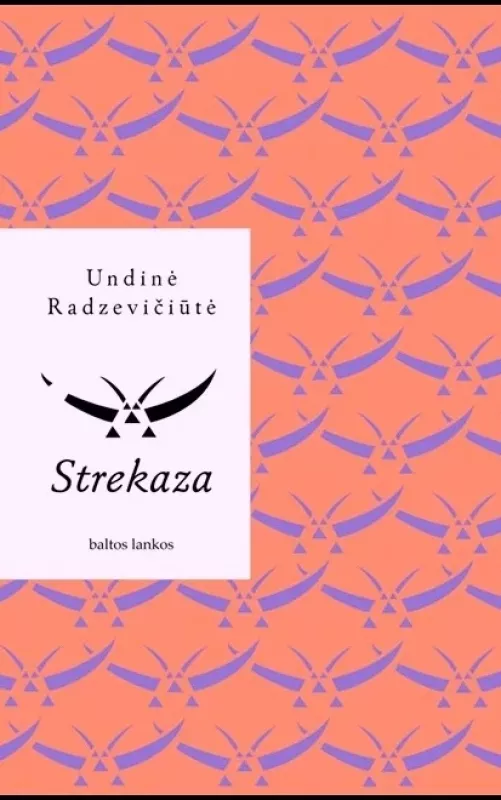 Strekaza - Undinė Radzevičiūtė, knyga