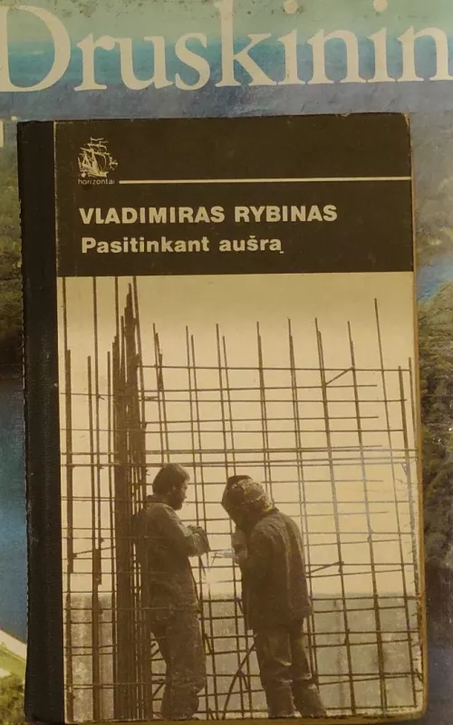 Pasitinkant aušrą - Vladimiras Rybinas, knyga