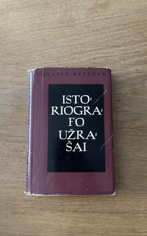 Istoriografo užrašai - Melvin Burgess, knyga