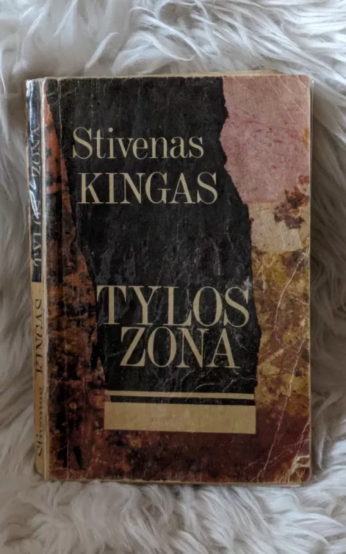 Tylos zona - Stephen King, knyga