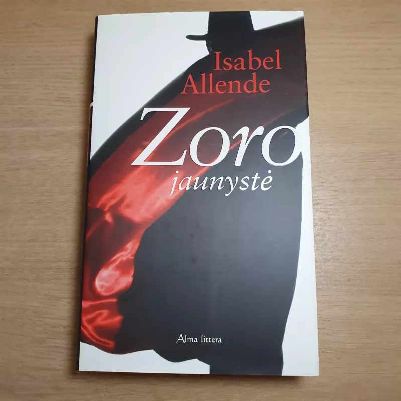Zoro jaunystė - Isabel Allende, knyga