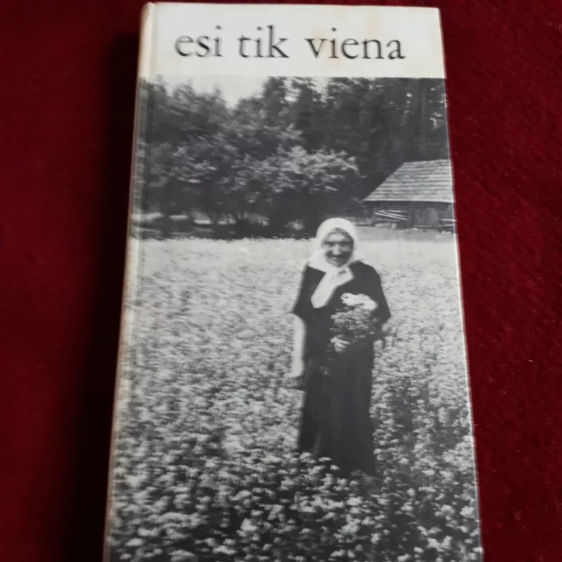 Esi tik viena - D. Venclovaitė, knyga