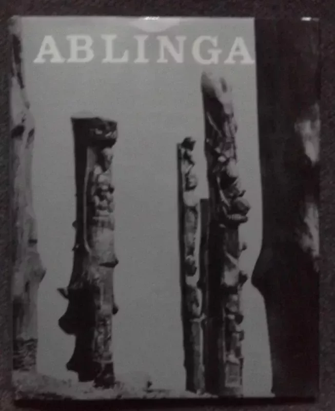 Ablinga - Algimantas Patašius, knyga