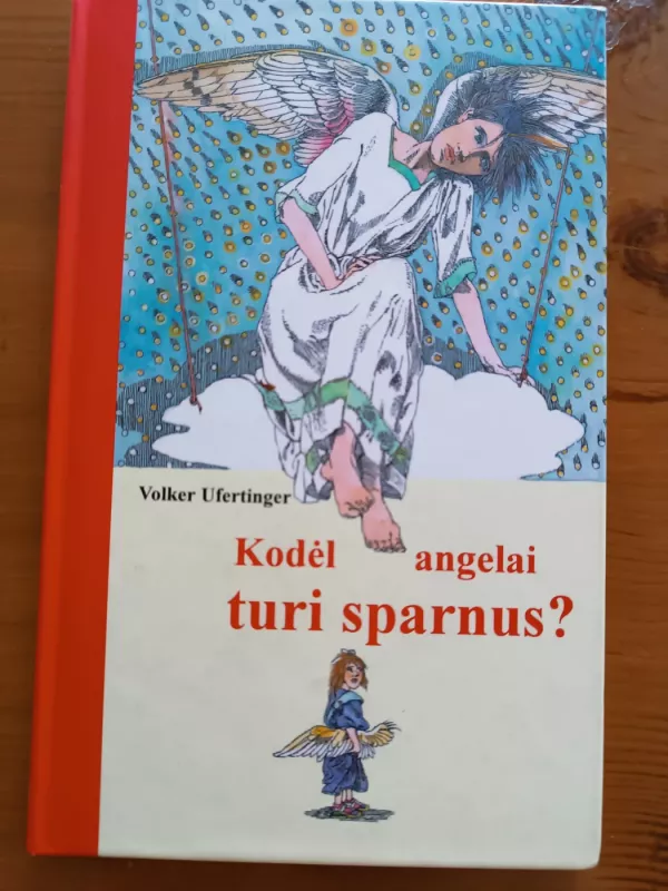 Kodėl angelai turi sparnus? - Volker Ufertinger, knyga